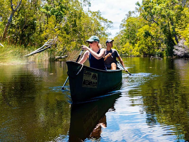 Everglades canoe experience