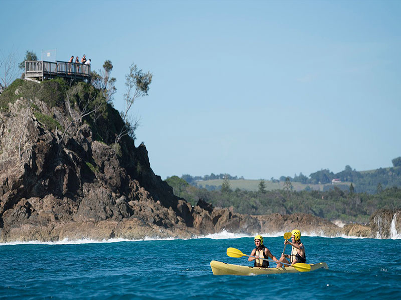 Byron Bay Dolphin Kayaking Tour