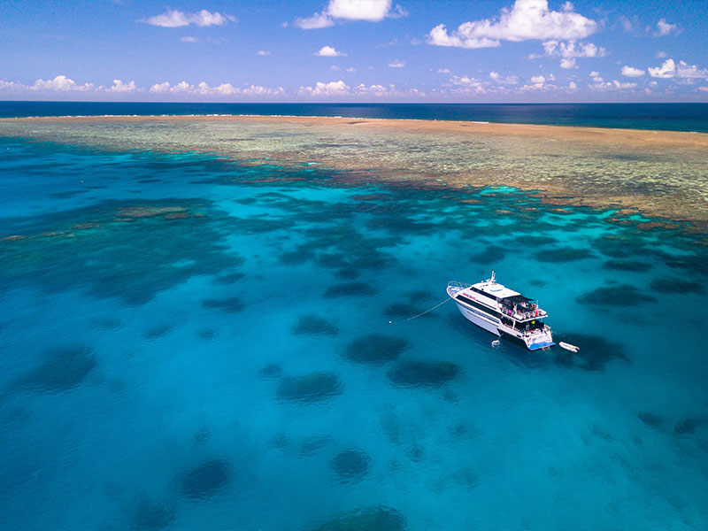 Snorkeling Outer Great Barrier Reef Liveaboard
