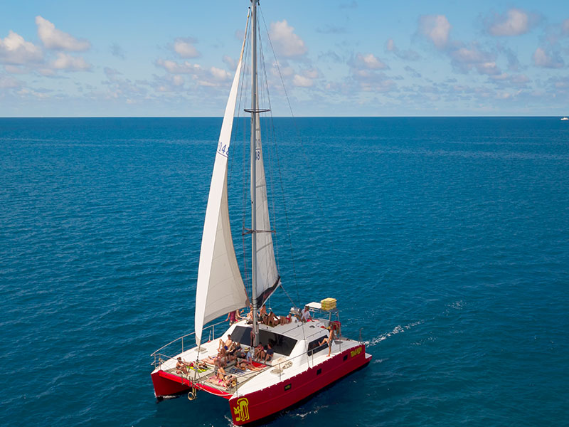 Tongarra Whitsundays One Day Sailing Tour