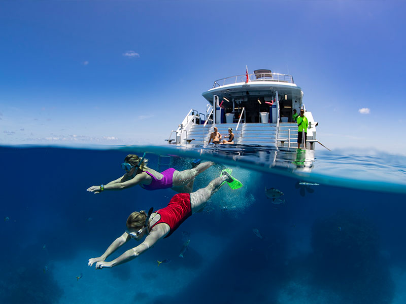4 Day Open Water Dive Course in Cairns