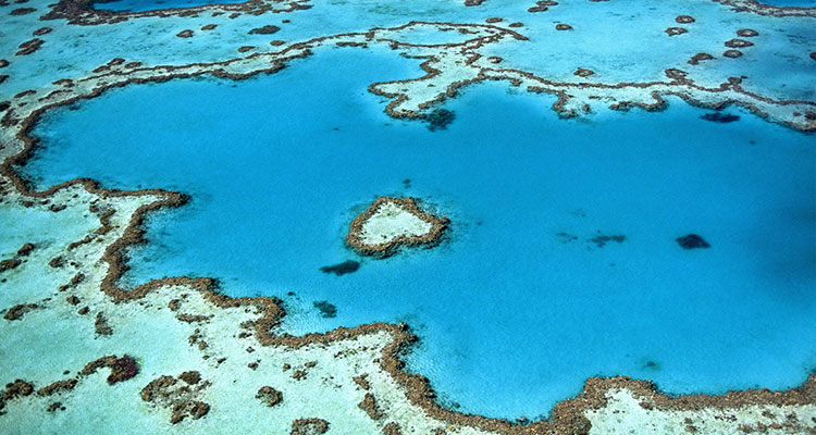 The Great Barrier Reef From The Air