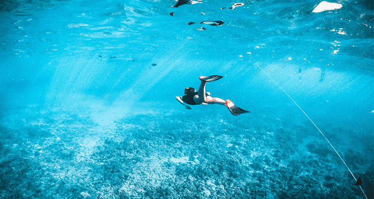 Snorkelling in Great Barrier Reef