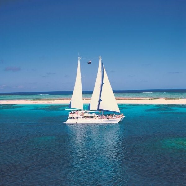 Michaelmas Cay Great Barrier Reef Day Tour