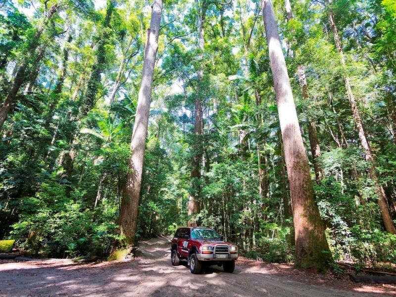 Byron Bay to Cairns 15 Day Guided Group Tour